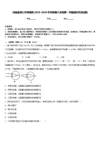 河南省周口市淮阳县2023-2024学年物理八年级第一学期期末检测试题含答案