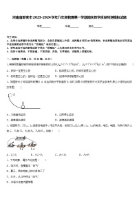 河南省新密市2023-2024学年八年级物理第一学期期末教学质量检测模拟试题含答案