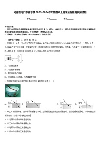 河南省周口市西华县2023-2024学年物理八上期末达标检测模拟试题含答案