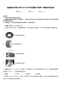 河南省新乡市第七中学2023-2024学年物理八年级第一学期期末检测试题含答案