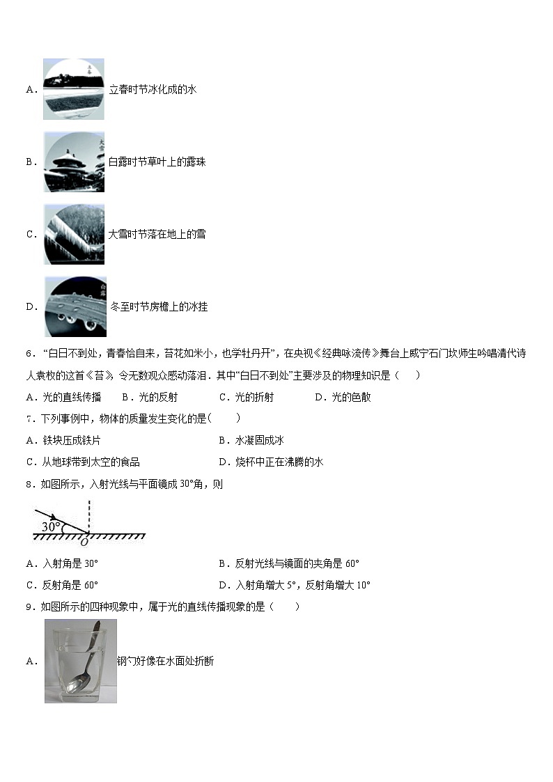 四川南充市嘉陵区2023-2024学年八年级物理第一学期期末学业水平测试模拟试题含答案02