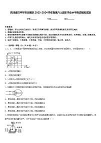 四川省巴中学市恩阳区2023-2024学年物理八上期末学业水平测试模拟试题含答案