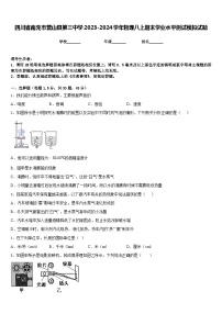 四川省南充市营山县第三中学2023-2024学年物理八上期末学业水平测试模拟试题含答案