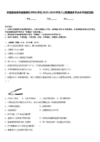 安徽省亳州市涡阳县石弓中心学校2023-2024学年八上物理期末学业水平测试试题含答案