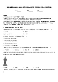 安徽省淮北市2023-2024学年物理八年级第一学期期末学业水平测试试题含答案