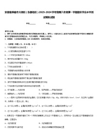 安徽省淮南市大通区（东部地区）2023-2024学年物理八年级第一学期期末学业水平测试模拟试题含答案