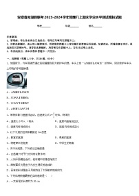 安徽省芜湖县联考2023-2024学年物理八上期末学业水平测试模拟试题含答案