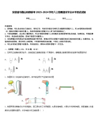 安徽省马鞍山和县联考2023-2024学年八上物理期末学业水平测试试题含答案