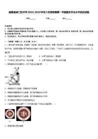 福建省厦门五中学2023-2024学年八年级物理第一学期期末学业水平测试试题含答案