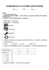 山东省滨州市部分学校2023-2024学年物理八上期末学业水平测试试题含答案