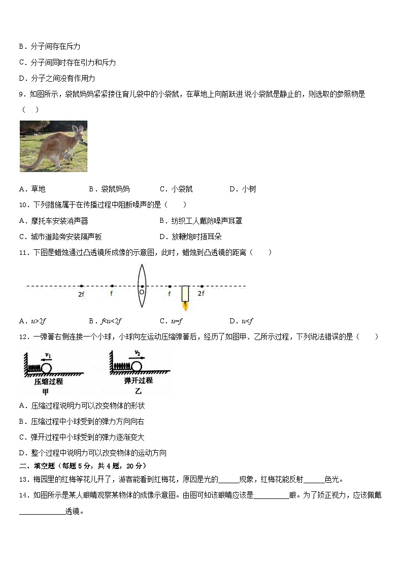 山东省滨州市部分学校2023-2024学年物理八上期末学业水平测试试题含答案03