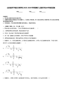 山东省济宁海达行知学校2023-2024学年物理八上期末学业水平测试试题含答案