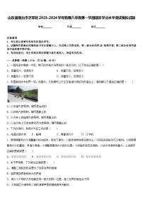 山东省烟台市芝罘区2023-2024学年物理八年级第一学期期末学业水平测试模拟试题含答案