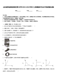 山东省青岛西海岸新区第七中学2023-2024学年八上物理期末学业水平测试模拟试题含答案