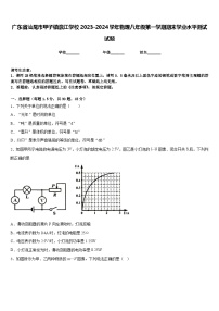 广东省汕尾市甲子镇瀛江学校2023-2024学年物理八年级第一学期期末学业水平测试试题含答案