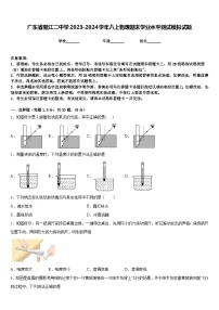 广东省阳江二中学2023-2024学年八上物理期末学业水平测试模拟试题含答案