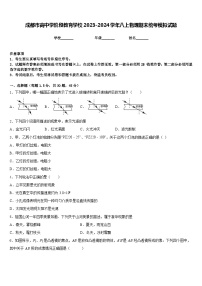 成都市高中学阶段教育学校2023-2024学年八上物理期末统考模拟试题含答案