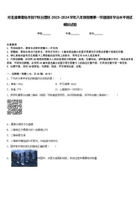 河北省秦皇岛市抚宁区台营区2023-2024学年八年级物理第一学期期末学业水平测试模拟试题含答案