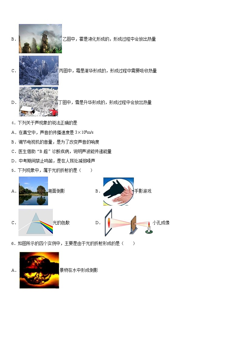河北省秦皇岛市抚宁区台营区2023-2024学年八年级物理第一学期期末学业水平测试模拟试题含答案02