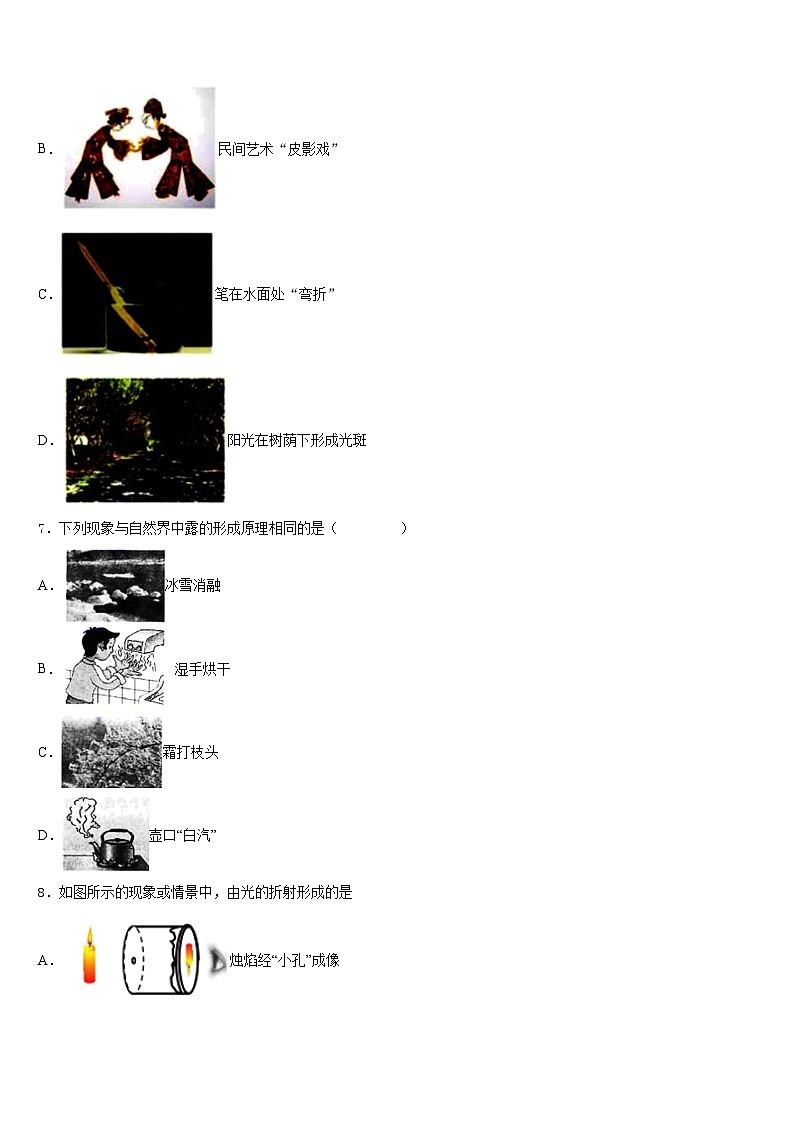 河北省秦皇岛市抚宁区台营区2023-2024学年八年级物理第一学期期末学业水平测试模拟试题含答案03