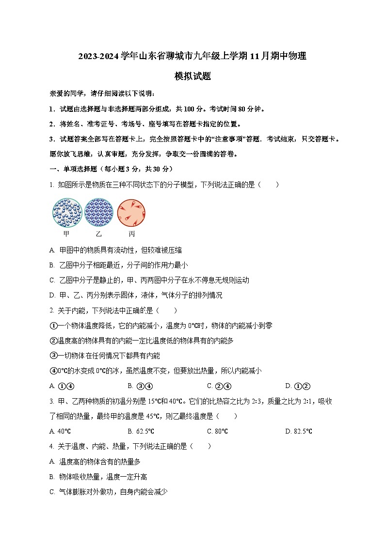 2023-2024学年山东省聊城市九年级上册11月期中物理试题（付解析）第1页