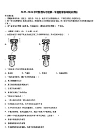 2023-2024学年物理九年级第一学期期末联考模拟试题