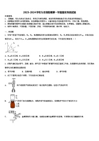 2023-2024学年九年级物理第一学期期末预测试题