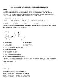 2023-2024学年九年级物理第一学期期末达标检测模拟试题