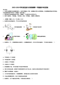 2023-2024学年湖北省九年级物理第一学期期末考试试题