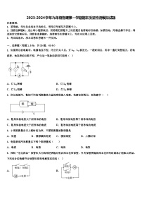 2023-2024学年九年级物理第一学期期末质量检测模拟试题