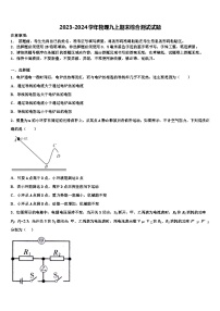 2023-2024学年物理九上期末综合测试模拟试题