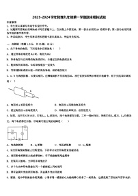 2023-2024学年物理九年级第一学期期末模拟试题