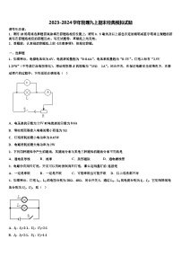 2023-2024学年物理九上期末经典模拟试题