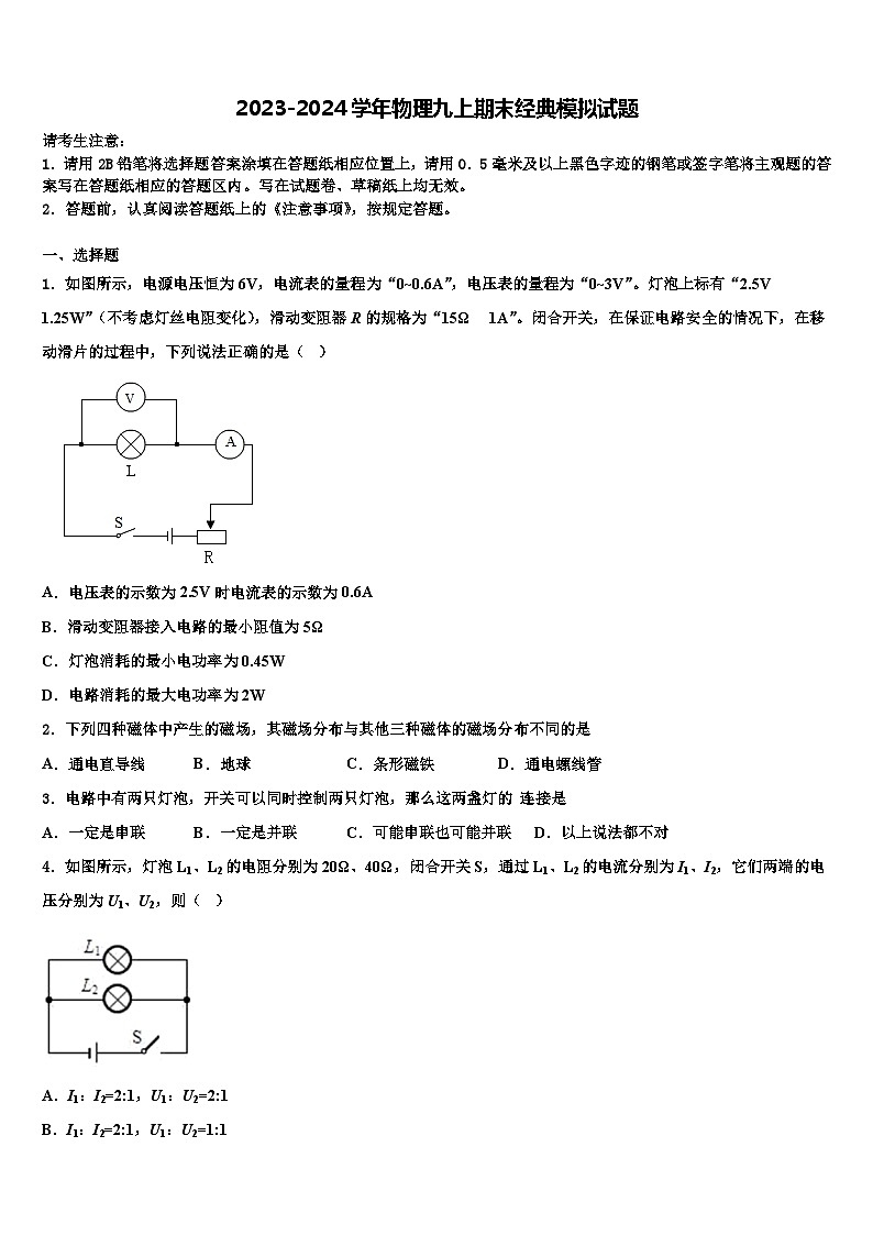 2023-2024学年物理九上期末经典模拟试题01