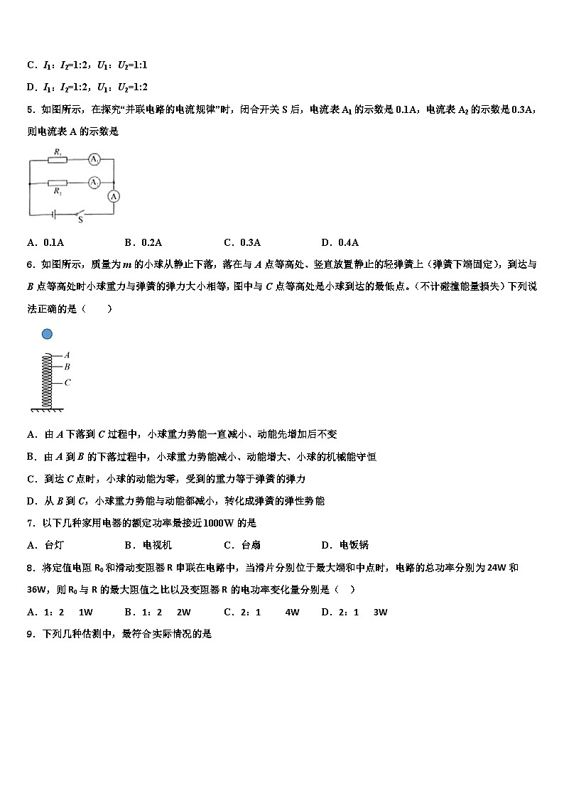2023-2024学年物理九上期末经典模拟试题02
