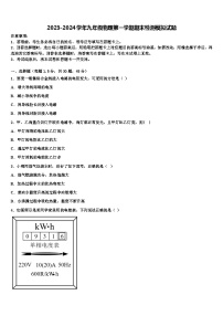 2023-2024学年九年级物理第一学期期末检测模拟试题