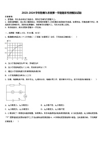 2023-2024学年物理九年级第一学期期末检测模拟试题