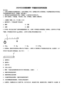 2024年九年级物理第一学期期末质量检测试题