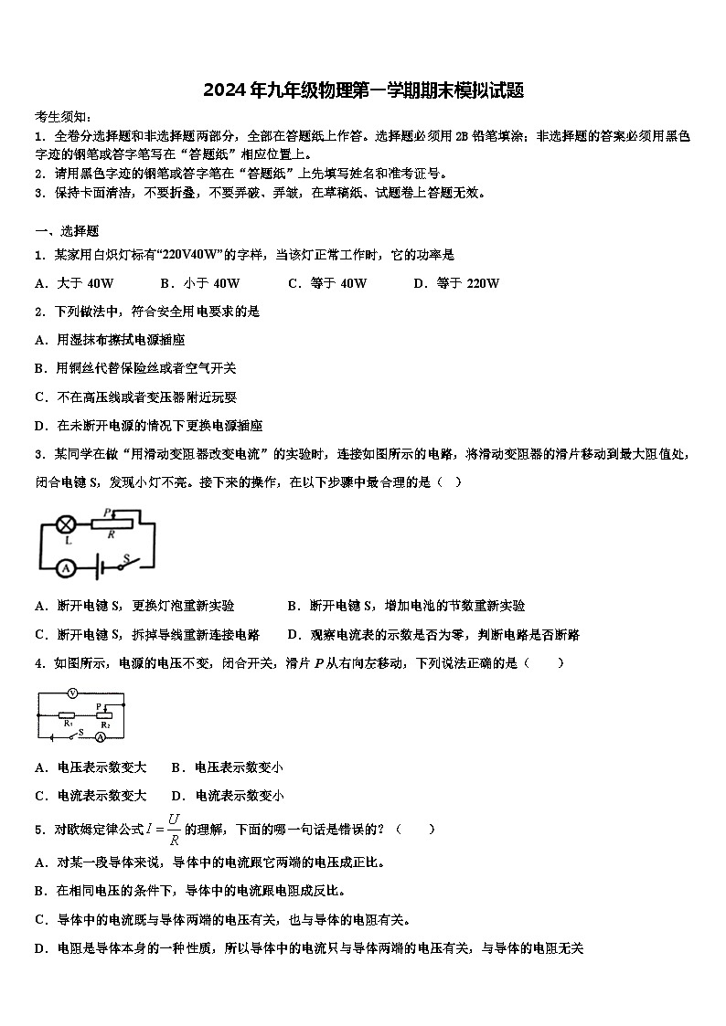 2024年九年级物理第一学期期末模拟试题01
