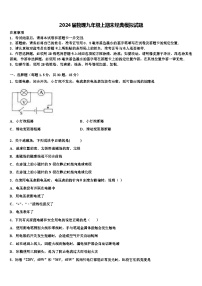 2024届物理九年级上期末经典模拟试题