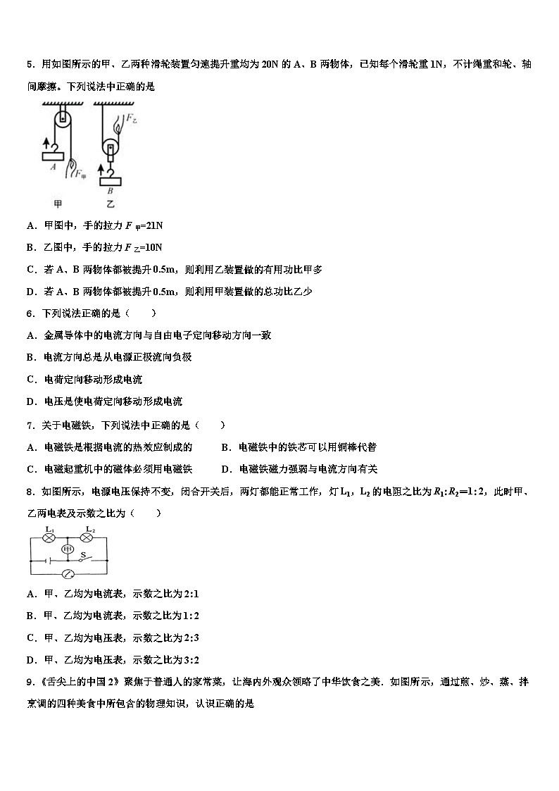 2024届九年级物理第一学期期末复习模拟试题第2页