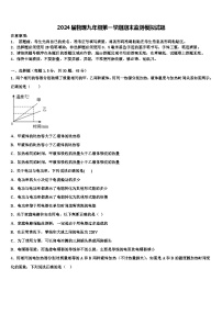 2024届物理九年级第一学期期末监测模拟试题