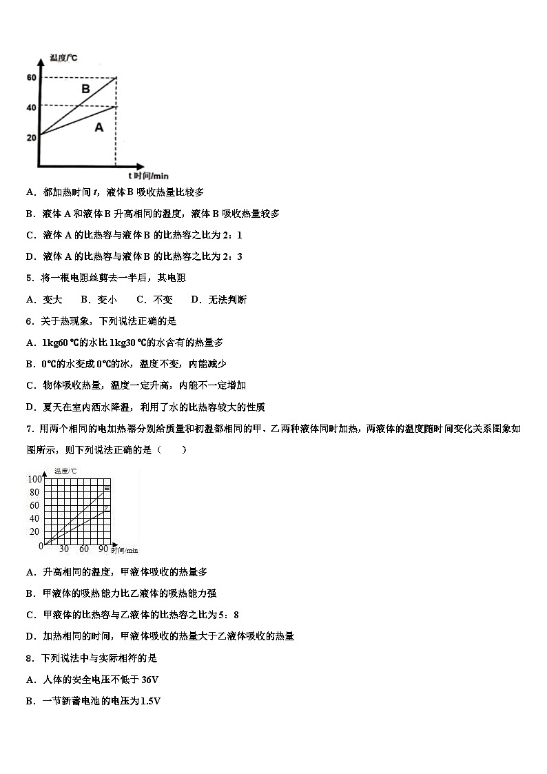 2024届物理九年级第一学期期末监测模拟试题02
