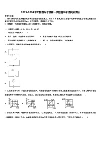 2023-2024学年物理九年级第一学期期末考试模拟试题