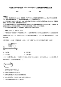 湖北省大冶市金湖街办2023-2024学年八上物理期末经典模拟试题含答案