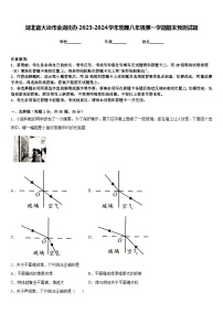 湖北省大冶市金湖街办2023-2024学年物理八年级第一学期期末预测试题含答案