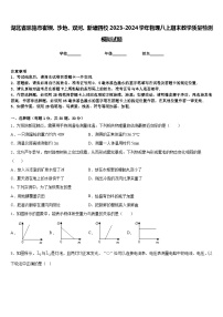 湖北省恩施市崔坝、沙地、双河、新塘四校2023-2024学年物理八上期末教学质量检测模拟试题含答案