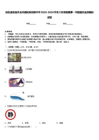 湖北省恩施市龙凤镇民族初级中学2023-2024学年八年级物理第一学期期末监测模拟试题含答案