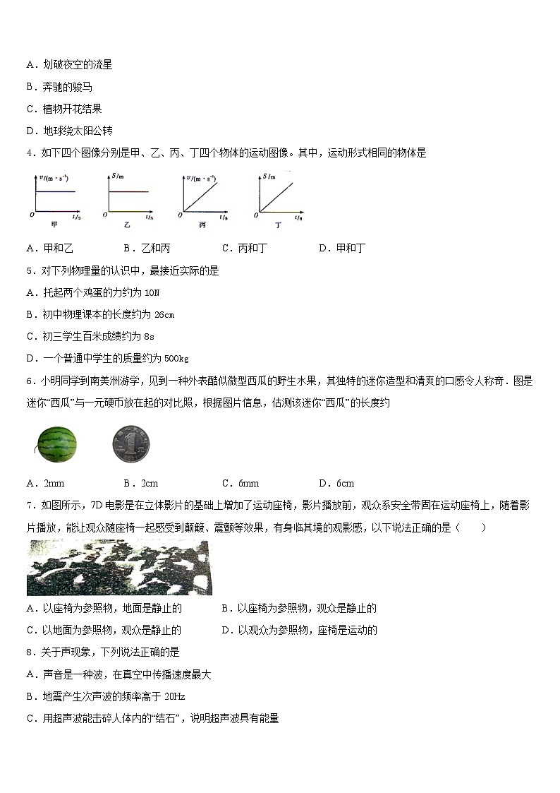 湖北省恩施市龙凤镇民族初级中学2023-2024学年八年级物理第一学期期末监测模拟试题含答案02