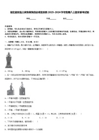 湖北省恩施土家族苗族自治州宣恩县2023-2024学年物理八上期末联考试题含答案